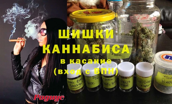 хмурый Бронницы
