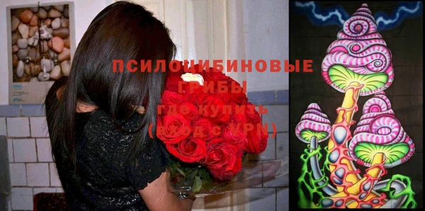 мяу мяу мука Богородицк