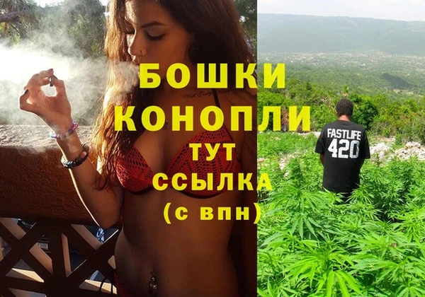 мяу мяу мука Бородино
