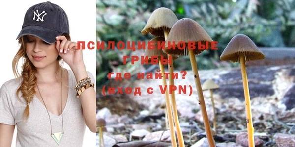 хмурый Бронницы