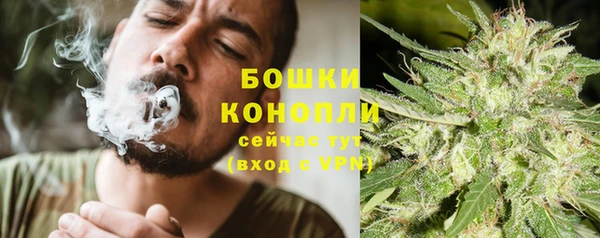 хмурый Бронницы
