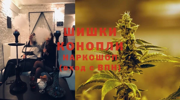 хмурый Бронницы