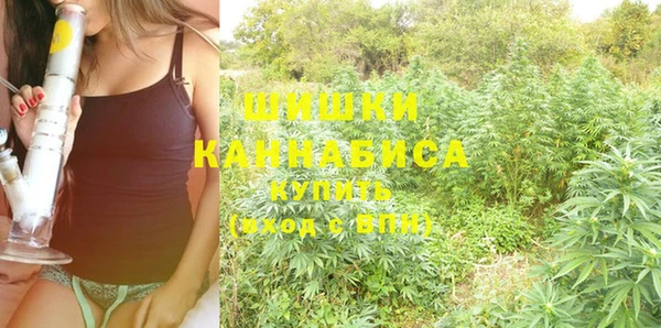 хмурый Бронницы