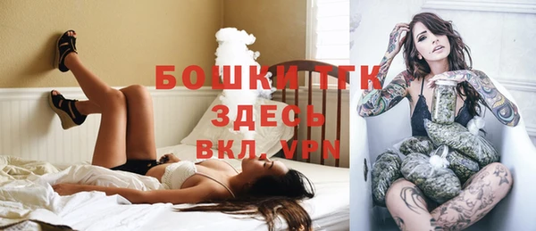 мяу мяу мука Бородино