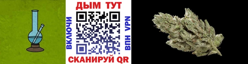кракен сайт  Кашин  Марихуана сатива 